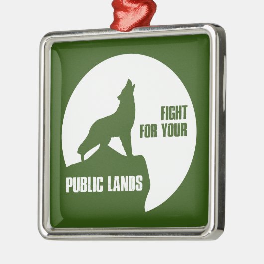 Strijd tegen uw publieke zolderwereld metalen ornament (Links)