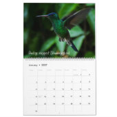 Strijdvogels in Colombia Kalender (Jan 2027)