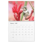 Strijdvogels in Colombia Kalender (Feb 2027)