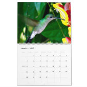 Strijdvogels in Colombia Kalender (Mar 2027)