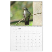 Strijdvogels in Colombia Kalender (Jan 2027)