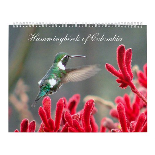Strijdvogels in Colombia Kalender (Hoes)