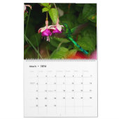 Strijdvogels in Colombia Kalender (Mar 2026)