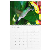 Strijdvogels in Colombia Kalender (Mar 2026)