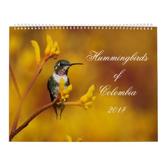 Strijdvogels in Colombia Kalender (Hoes)