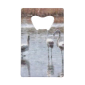 Strike A Pose Flamingo Waterverf Creditkaart Flessenopener (Voorkant)