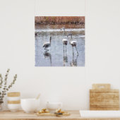 Strike A Pose Flamingo Waterverf Poster (Keuken)