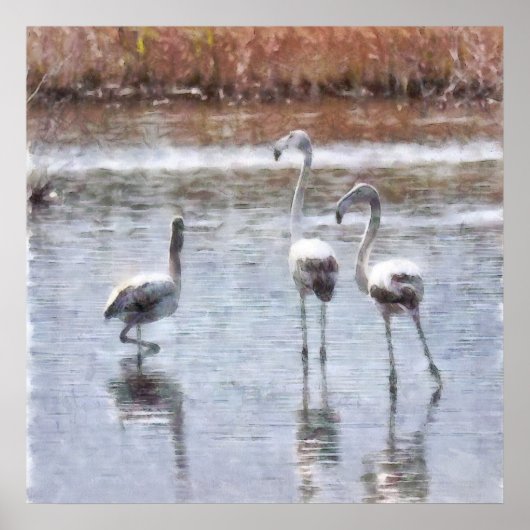 Strike A Pose Flamingo Waterverf Poster (Voorkant)
