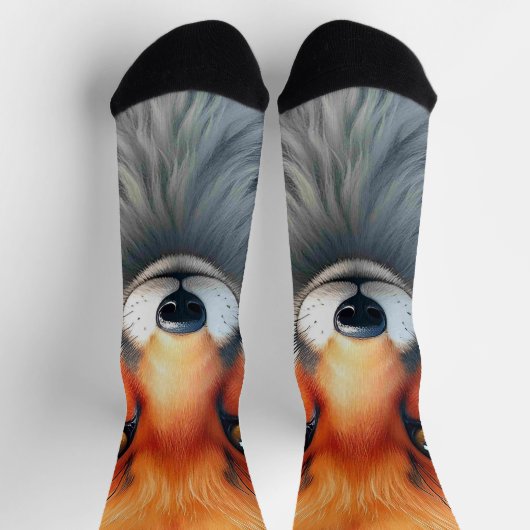Striking Eyes of a Cunning Red Fox   Sokken (Top)