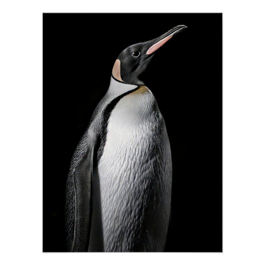  Striking High Contrast Emperor Penguin Fine Art  Perfect Poster (Voorkant)