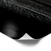  Striking High Contrast Emperor Penguin Fine Art  Perfect Poster (Hoek)