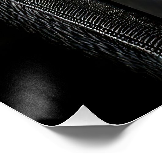  Striking High Contrast Emperor Penguin Fine Art  Perfect Poster (Hoek)