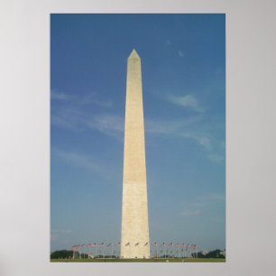 Striking Zon Contrast  Poster