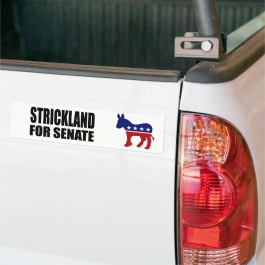 STRIKKLAND 2010 BUMPERSTICKER (Op Truck)