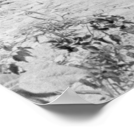 String Bean Pickers in Maryland: 1937 Poster (Hoek)