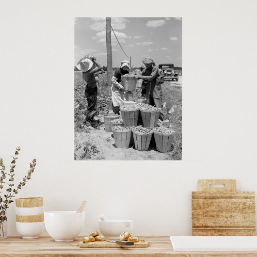String Bean Pickers in Maryland: 1937 Poster (Keuken)