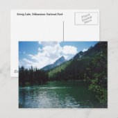 String Lake- Yellowstone Briefkaart (Voorkant / Achterkant)