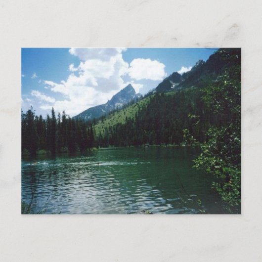 String Lake- Yellowstone Briefkaart (Voorkant)