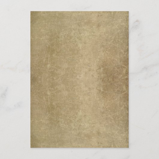 String van lichten rustieke bruiloft informatie ka informatiekaartje (Achterkant)