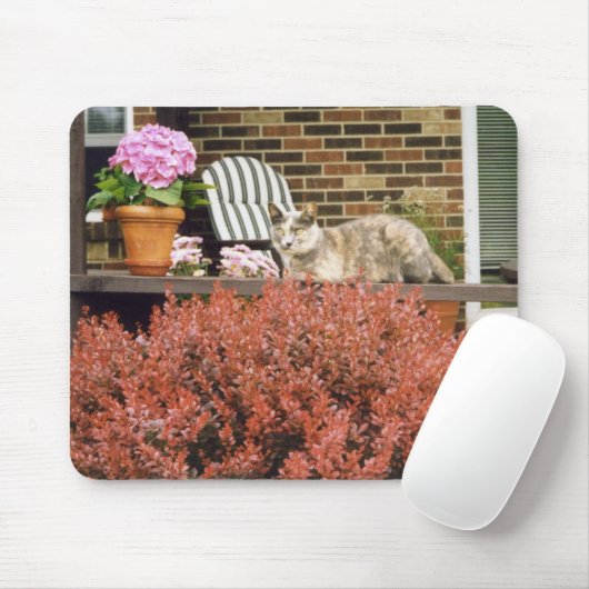 Strinka Muismat (Met muis)