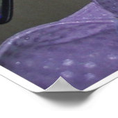 Strip in kleur poster (Hoek)