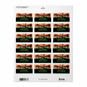 Stripboek Eyes Adresetiketten Etiket (Full Sheet)