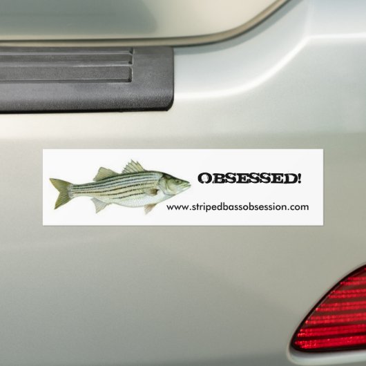 stripe10, www.stripedbassobsession.com, VERKLAARD! Bumpersticker (Op auto)