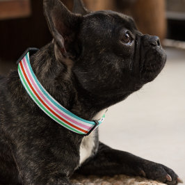 Stripe patroon | Moderne kleurrijke kerstkaf Huisdier Halsbandje