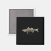 Striped B Fishing  Magneet (Voorkant / Achterkant)