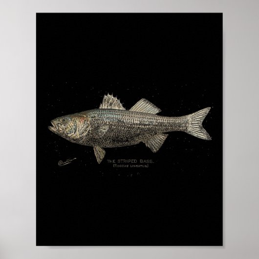 Striped B Fishing  Poster (Voorkant)