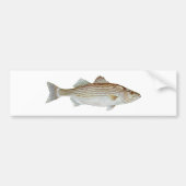 Striped Bass Art Bumpersticker (Voorkant)
