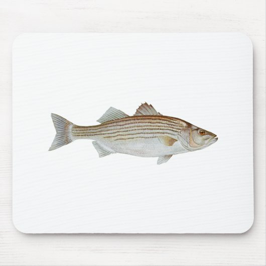 Striped Bass Art Muismat (Voorkant)