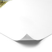 Striped Bass Art Poster (Hoek)