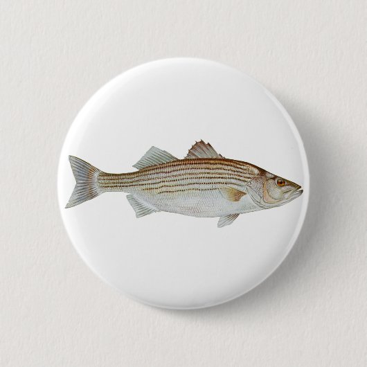 Striped Bass Art Ronde Button 5,7 Cm (Voorkant)