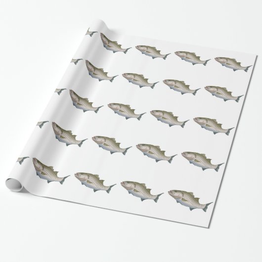 STRIPED BASS CADEAUPAPIER (Uitgerold)