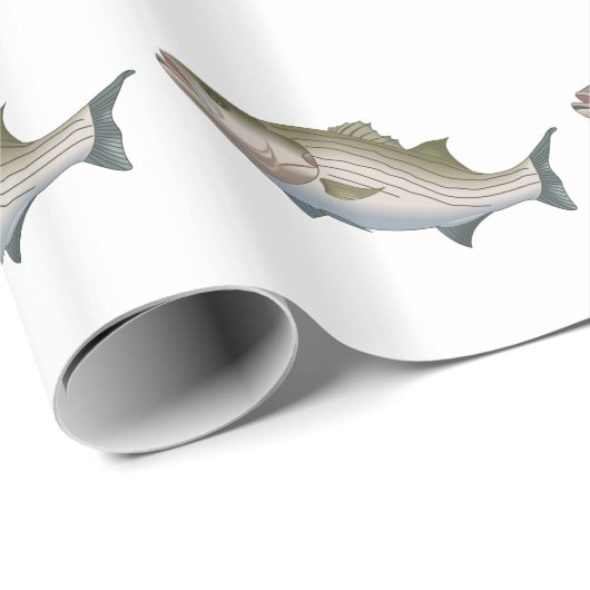 STRIPED BASS CADEAUPAPIER (Rol Hoek)