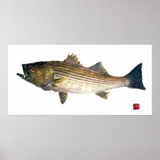 Striped Bass Gyotauku Poster (Voorkant)