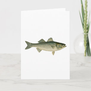 Striped Bass Logo Kaart