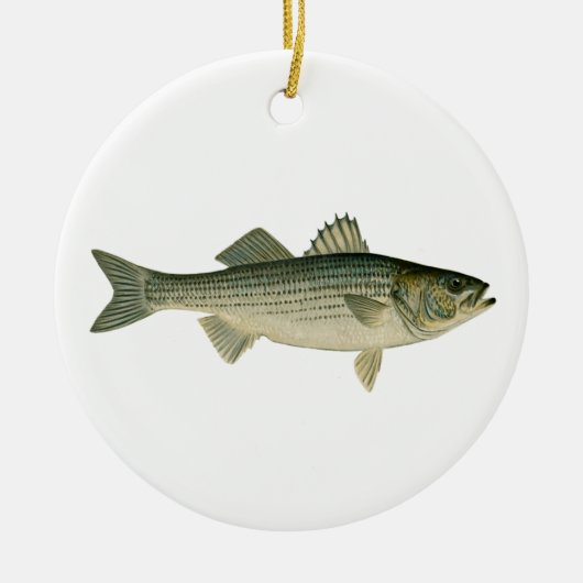 Striped Bass Logo Keramisch Ornament (Voorkant)
