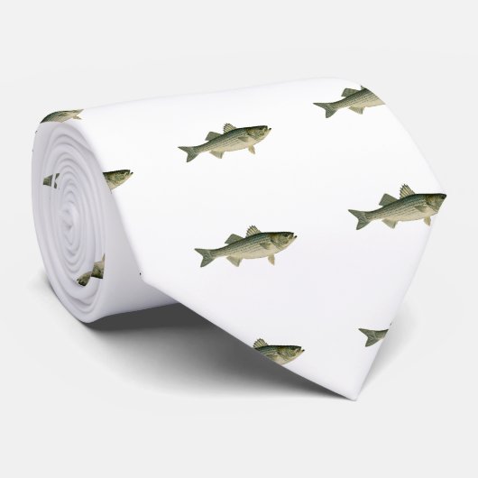 Striped Bass Logo Stropdas (Opgerold)