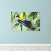 Striped Blue Crow (Euploea mulciber) op blad, Canvas Afdruk (Insitu (Houten vloer))
