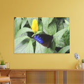 Striped Blue Crow (Euploea mulciber) op blad, Canvas Afdruk (Insitu (Woonkamer))
