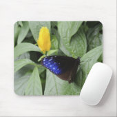 Striped Blue Crow (Euploea mulciber) op blad, Muismat (Met muis)