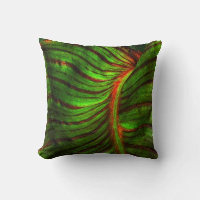Striped Canna Leaf Accent Pillow Kussen (Voorkant)