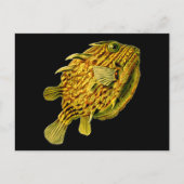Striped Cowfish Ernst Haeckel Fine Art Briefkaart (Voorkant)