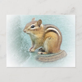 Striped Cutie - Chipmunk Briefkaart