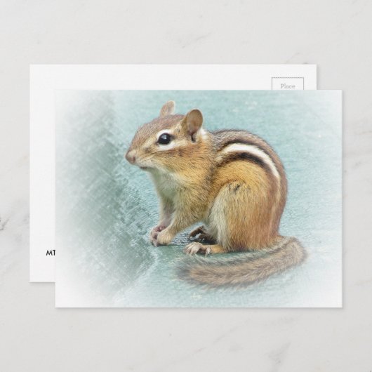 Striped Cutie - Chipmunk Briefkaart (Voorkant / Achterkant)