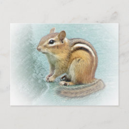 Striped Cutie - Chipmunk Briefkaart