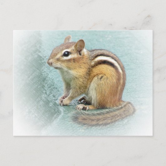 Striped Cutie - Chipmunk Briefkaart (Voorkant)