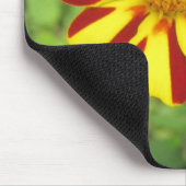 Striped French Marigold Photo Mousepad Muismat (Hoek)